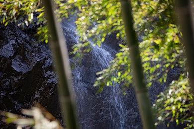 玩家分享《街霸6》沙加特对阵杰米时错觉 沙加特大长腿萎缩了